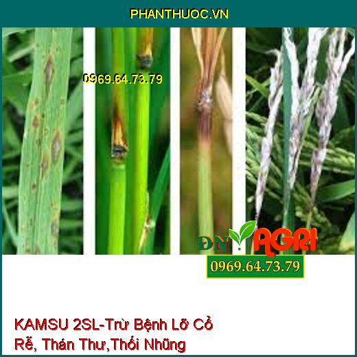 KAMSU 2SL-Trừ Bệnh Lỡ Cổ Rễ, Thán Thư,Thối Nhũng