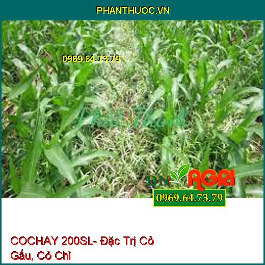 COCHAY 200SL- Đặc Trị Cỏ Gấu, Cỏ Chỉ