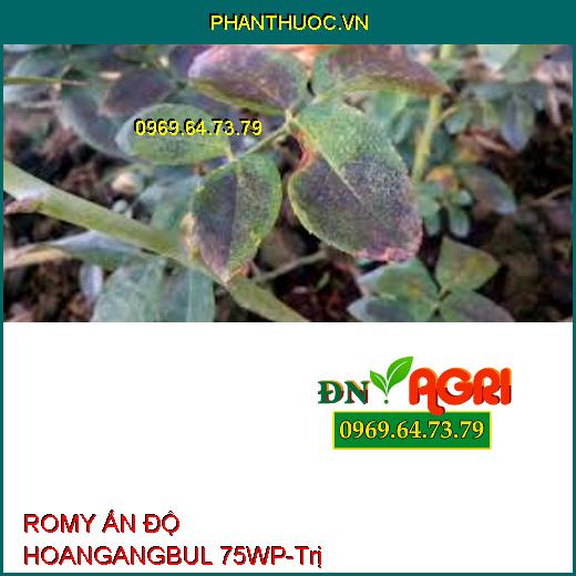 ROMY ẤN ĐỘ HOANGANGBUL 75WP-Trị Sương Mai, Xì Mủ