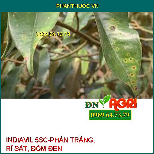 INDIAVIL 5SC-PHẤN TRẮNG, RỈ SẮT, ĐỐM ĐEN