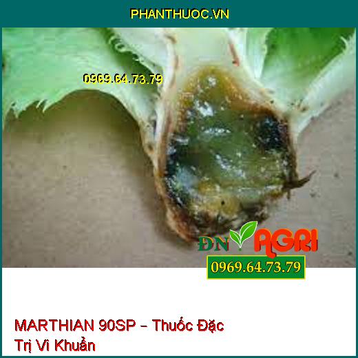 MARTHIAN 90SP – Thuốc Đặc Trị Vi Khuẩn