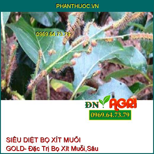 SIÊU DIỆT BỌ XÍT MUỖI GOLD- Đặc Trị Bọ Xít Muỗi,Sâu