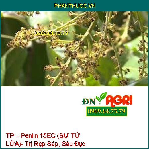 TP – Pentin 15EC (SƯ TỬ LỬA)- Trị Rệp Sáp, Sâu Đục Thân