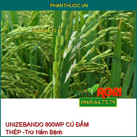 UNIZEBANDO 800WP CÚ ĐẤM THÉP -Trừ Nấm Bệnh