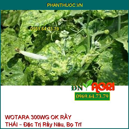 WOTARA 300WG OK RẦY THÁI – Đặc Trị Rầy Nâu, Bọ Trĩ