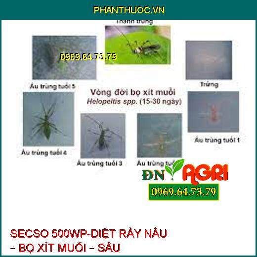 SECSO 500WP-DIỆT RẦY NÂU – BỌ XÍT MUỖI – SÂU KHOANG