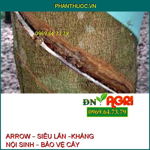 ARROW – SIÊU LÂN –KHÁNG NỘI SINH – BẢO VỆ CÂY