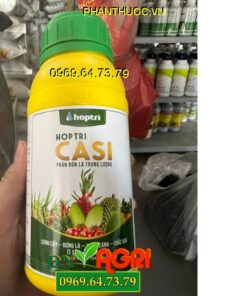 HOPTRI CASI- Cứng Cây, Đứng Lá, Xanh Cành