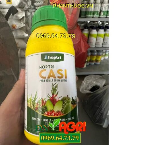 HOPTRI CASI- Cứng Cây, Đứng Lá, Xanh Cành