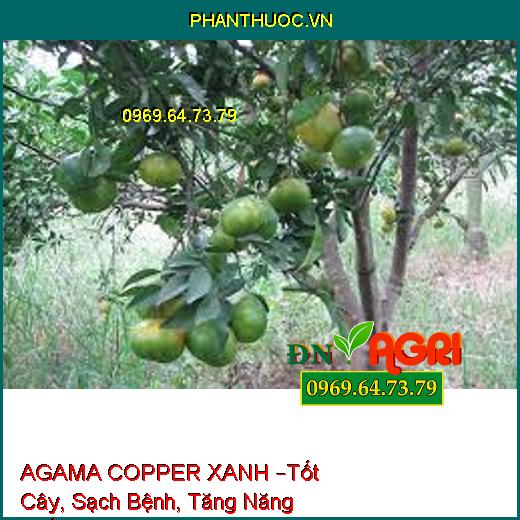 AGAMA COPPER XANH –Tốt Cây, Sạch Bệnh, Tăng Năng Suất