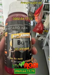 NICABO AA- Amino Sinh Học, Bổ Sung Canxi, Bo Và Khoáng Chất Khác