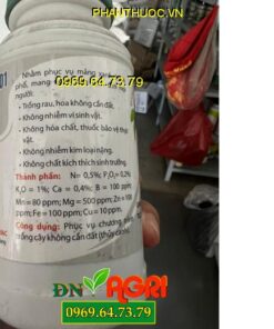 SẢN PHẨM DINH DƯỠNG THỦY CANH 301-Kích Thích Sinh Trưởng, Không Nhiễm Kim Loại