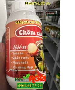 SIBA12- Siêu Dưỡng Trái, Trái To, Chắc Ruột, Ngọt Trái, Vỏ Sáng Đẹp