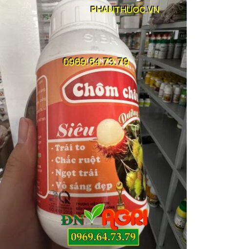 SIBA12- Siêu Dưỡng Trái, Trái To, Chắc Ruột, Ngọt Trái, Vỏ Sáng Đẹp