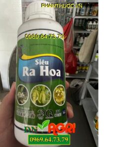 SIÊU RA HOA- Tạo Mầm Hoa, Chống Rụng Hoa, Trái Non