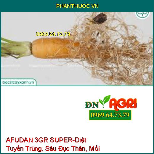 AFUDAN 3GR SUPER-Diệt Tuyến Trùng, Sâu Đục Thân, Mối Mọt