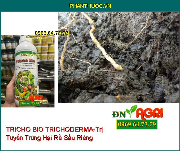 BIO SACOTEC TRICHO BIO TRICHODERMA NẤM ĐỐI KHÁNG-Xử Lý Rôm Rạ, Ủ Phân Chuồng