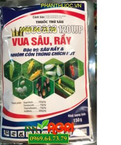 BUCCAS 120WP VUA SÂU RẦY- Đặc Trị Rầy Lưng Trắng, Côn Trùng Chích Hút