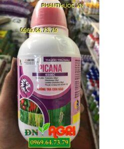 THUỐC TRỪ SÂU PICANA 450EC – ĐẶC TRỊ SÂU RẦY ĐÃ KHÁNG THUỐC