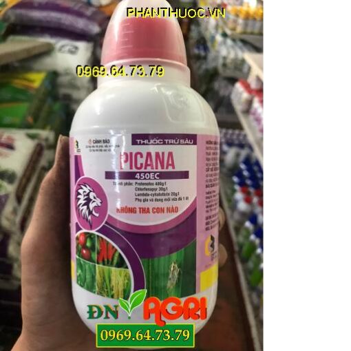 THUỐC TRỪ SÂU PICANA 450EC – ĐẶC TRỊ SÂU RẦY ĐÃ KHÁNG THUỐC