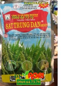 SÁT TRÙNG ĐAN 95WP – Đặc Trị Sâu Đục Thân, Sâu Cuốn Lá Hại Lúa