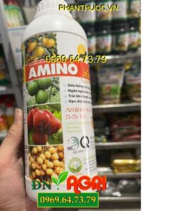 AMINO GOLD AMINO ACID 5-5-15 – Kích Hoa, Ra Hoa Đồng Loạt, Chống Đổ Ngã, Chống Rụng, Nuôi Trái To Khỏe.