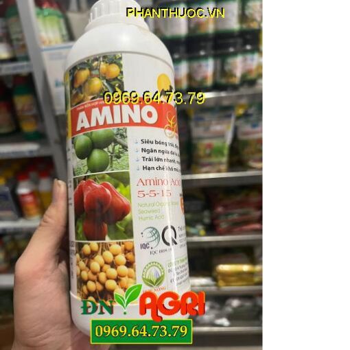 AMINO GOLD AMINO ACID 5-5-15 – Kích Hoa, Ra Hoa Đồng Loạt, Chống Đổ Ngã, Chống Rụng, Nuôi Trái To Khỏe.