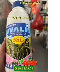 AVALIN 5SL- Thuốc Đặc Trị Bênh Khô Vằn Hại Lúa