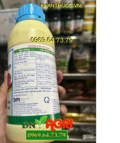 BASFOLIAR BORON (10%B) SL – Tăng Khả Năng Ra Hoa, Đậu Trái, Hạn Chế Rụng Trái, Sâu Dệnh Cho Cây Trồng