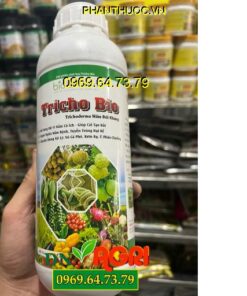 BIO SACOTEC TRICHO BIO TRICHODERMA NẤM ĐỐI KHÁNG-Xử Lý Rôm Rạ, Ủ Phân Chuồng