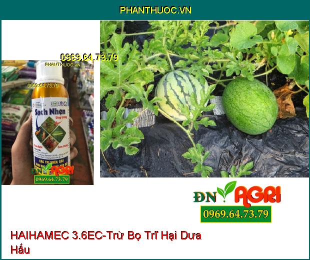 THUỐC TRỪ SÂU HAIHAMEC 3.6EC –Thuốc Trừ Sâu Sinh Học Mới, Trừ Sâu Cuốn Lá