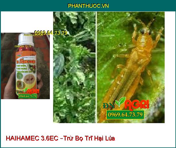 THUỐC TRỪ SÂU HAIHAMEC 3.6EC –Trừ Sâu Cuốn Lá, Rầy Nâu, Bọ Trị Hại Lúa, Hiệu Qủa