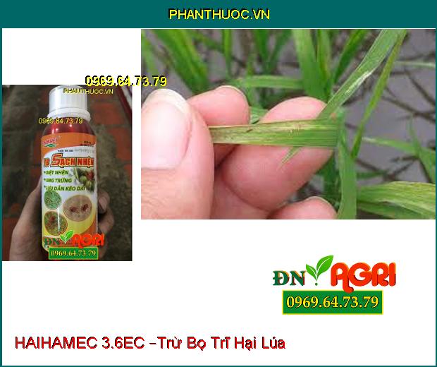 THUỐC TRỪ SÂU HAIHAMEC 3.6EC –Trừ Sâu Cuốn Lá, Rầy Nâu, Bọ Trị Hại Lúa, Hiệu Qủa