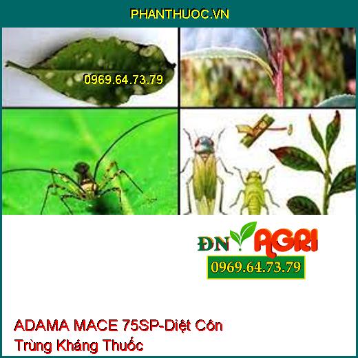 ADAMA MACE 75SP-Diệt Côn Trùng Kháng Thuốc