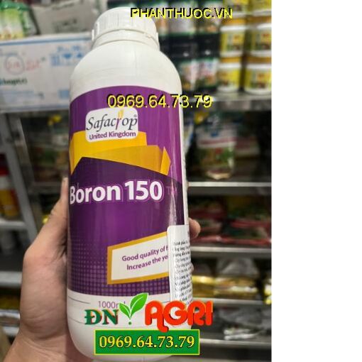 BORON 150 MỸ – Phân Bón Lá Giúp Xanh Lá, Dầy Lá, Tăng Nằn Suất Cây Trồng