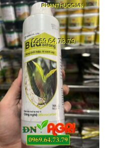 BUD STRONG VIDAN – Bung Chồi Mập, Lá Xanh Dày, Khích Trái Non Phát Triển