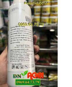 BUD STRONG VIDAN – Bung Chồi Mập, Lá Xanh Dày, Khích Trái Non Phát Triển