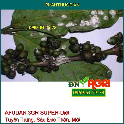 AFUDAN 3GR SUPER-Diệt Tuyến Trùng, Sâu Đục Thân, Mối Mọt