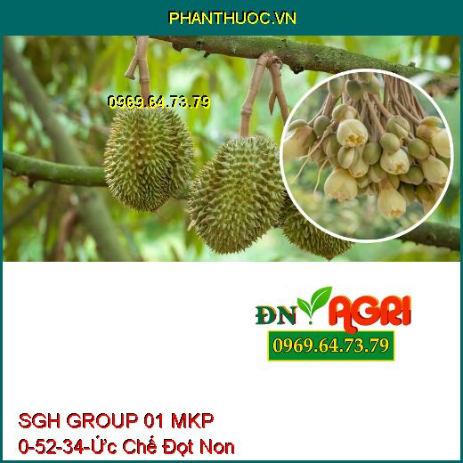 Sử dụng SGH GROUP 01 MKP 0-52-34-giúp cho cây