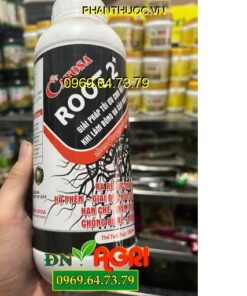 CATOSA ROOT 2+- Phát Triển Rễ, Giải Độc Hữu Cơ, Trị Tuyến Trùng