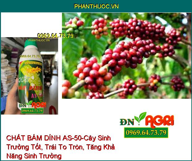 CHẤT BÁM DÍNH AS-50-Tăng Khả Năng Bám Dính, Tăng Hiệu Qủa Thuốc, Phân Bón