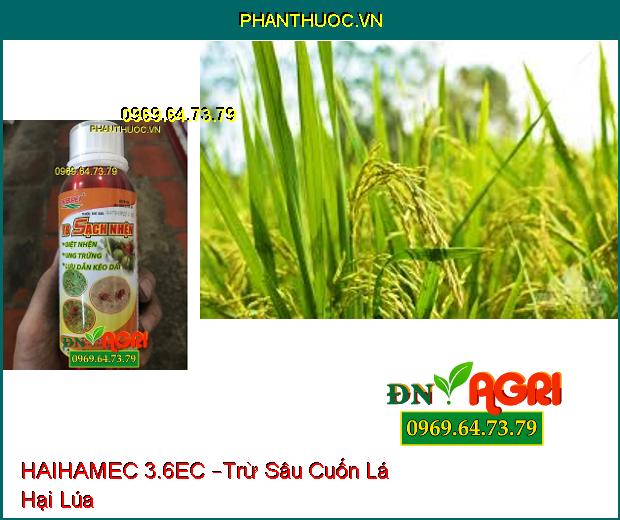 THUỐC TRỪ SÂU HAIHAMEC 3.6EC –Trừ Sâu Cuốn Lá, Rầy Nâu, Bọ Trị Hại Lúa, Hiệu Qủa