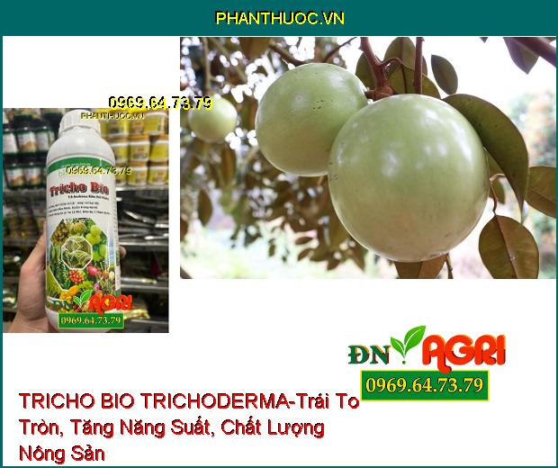 BIO SACOTEC TRICHO BIO TRICHODERMA NẤM ĐỐI KHÁNG-Xử Lý Rôm Rạ, Ủ Phân Chuồng