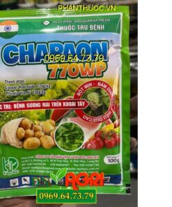 CHAPAON 770WP – Đặc Trị Sương Mai, Mốc Sương, Thán Thư, Khô Vằn, Vàng Lá, Lem Lép Hạt