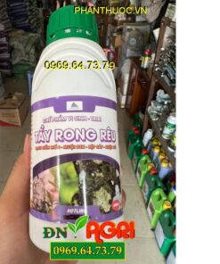 TẨY RONG RÊU TRIBI- Diệt Rong Rêu Nấm Mốc Trên Cây Trồng