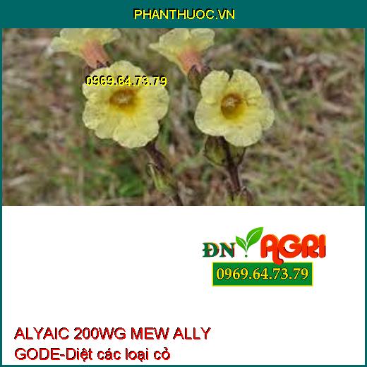 ALYAIC 200WG MEW ALLY GODE-Diệt các loại cỏ