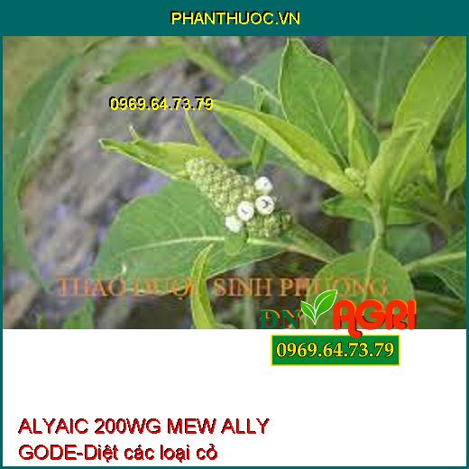 ALYAIC 200WG MEW ALLY GODE-Diệt các loại cỏ