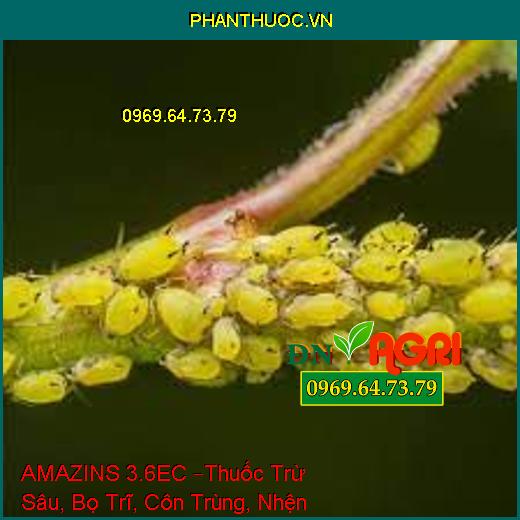 AMAZINS 3.6EC –Thuốc Trừ Sâu, Bọ Trĩ, Côn Trùng, Nhện