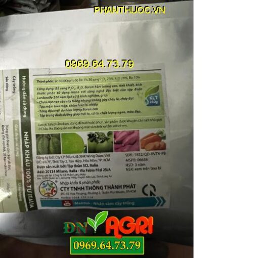 DOLCE LINH CHI CHẶN ĐỌT- Chặn Đi Đọt, Tạo Mầm Hoa, Siêu Đậu Trái