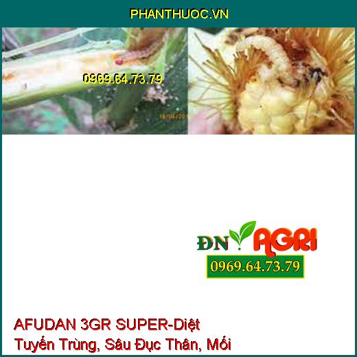 AFUDAN 3GR SUPER-Diệt Tuyến Trùng, Sâu Đục Thân, Mối Mọt